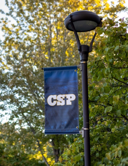 Flag with CSP logo on it hanging from a black light pole in front of green trees in autumn.