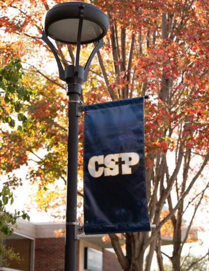 Blue CSP banner hanging on a brown light pole in front of fall foliage trees.